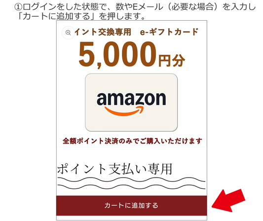 ポイント支払い専用AMAZON e-ギフトカード(お弁当との同時購入不可)
